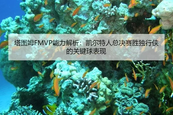 ta-tu-mu-neng-li-jie-xi-kai-er-te-ren-zong-jue-sai-sheng-du-xing-xia-de-guan-jian-qiu-biao-xian-2-771.jpg